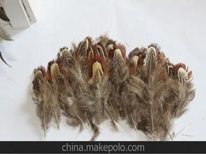 舞臺服裝輔料供應(yīng)商與批發(fā)市場全攻略 采購策略與價格解析