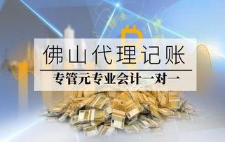 專管元佛山代理記賬與網絡文化經營服務解析
